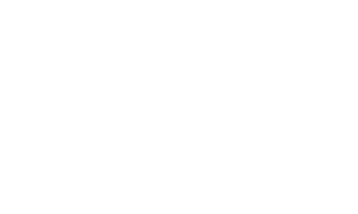 Dr Carlos Castillo F.